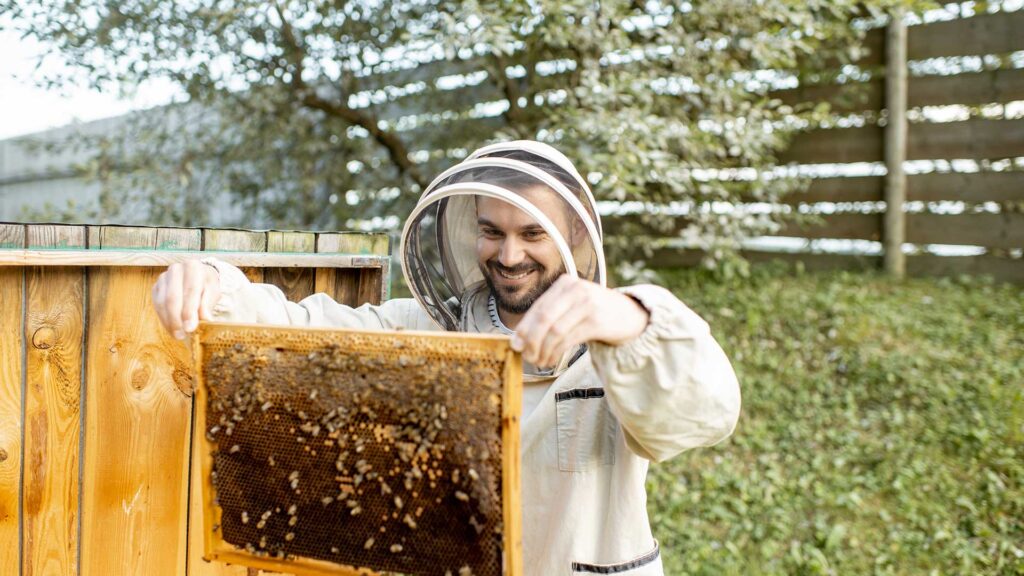 beekeeper working on the apiary WAKQV3P
